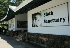 sloth sanctuary