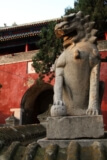 konfuciův hřbitov