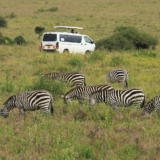 nairobi national park nairobi national park