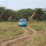 nairobi national park nairobi national park