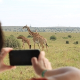 nairobi national park nairobi national park