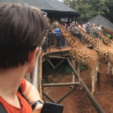 giraffe centre giraffe centre