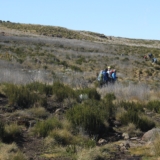 mt kenya hike mt kenya hike