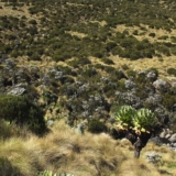 mt kenya hike mt kenya hike