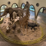 nairobi national museum nairobi national museum