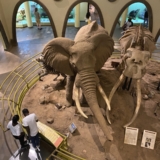 nairobi national museum nairobi national museum