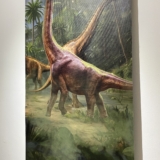 nairobi national museum nairobi national museum