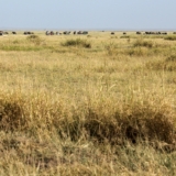 amboseli national park amboseli national park
