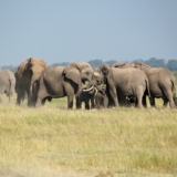 amboseli national park amboseli national park