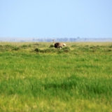 amboseli national park amboseli national park