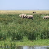 amboseli national park amboseli national park