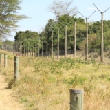 ol pejeta conservancy