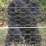 ol pejeta conservancy