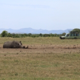 ol pejeta conservancy