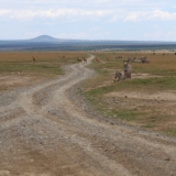 ol pejeta conservancy