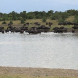 ol pejeta conservancy