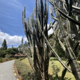 karen blixen museum