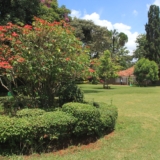 karen blixen museum