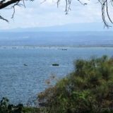 elsamere