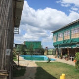 mambo game drive