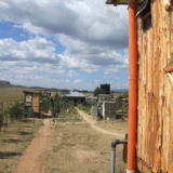 mambo game drive