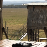 mambo game drive
