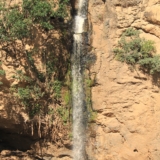 lake nakuru