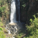 thomson's falls